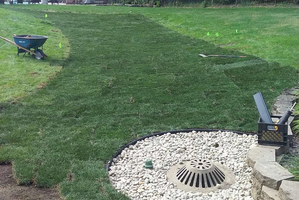 Yard drainage done by Transitions Outdoor Services