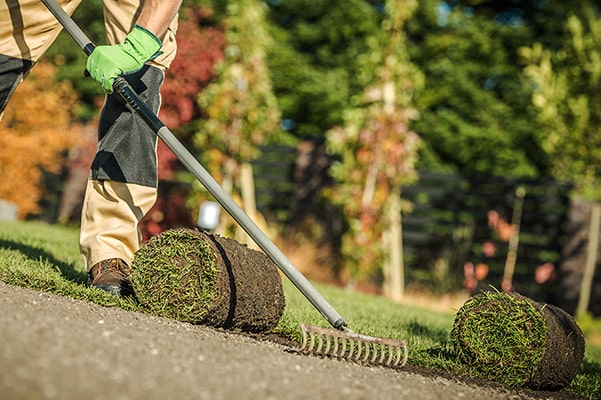 Man laying sod in yard.