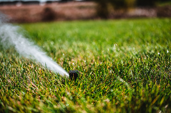 Sprinkler in backyard with leaves on the ground.