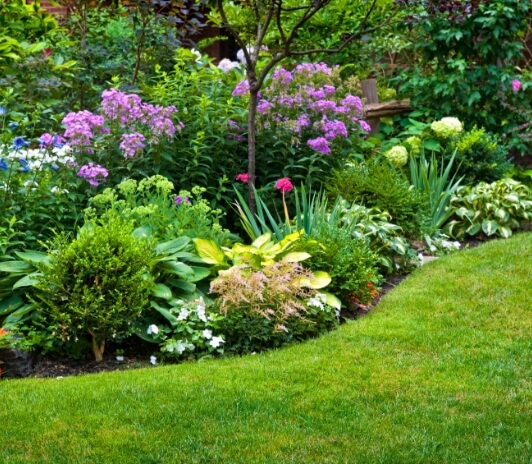 Beautiful backyard garden